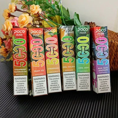 Poco enorme 5000 Puff Vapor desechable cigarrillo E 2% / 5% Nic Recargador de sal 950mah