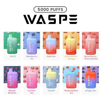 Waspe 5000Puffs E cigarrillo Vapor desechable 13ml 2%/3%/5% Nic 650mah Recargable