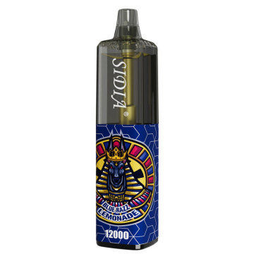 Envase de transporte Cartón de vapor de vapor grande con 18 ml de jugo de E durante 1 año