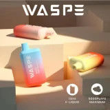 Waspe 5000 Puffs Vape Pen desechable de 650 mAh Tipo-C Recargable Ecig
