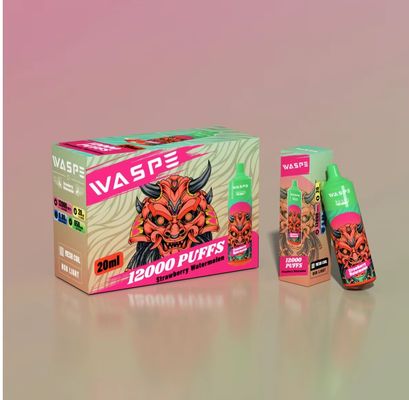 20 ml de pluma electrónica líquida desechable con micro USB tipo C 10PCS/ caja de visualización