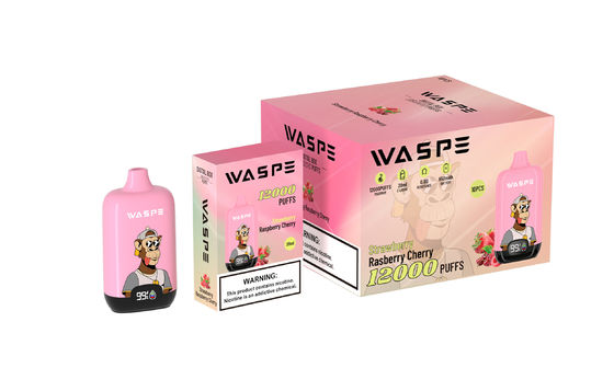 12000Puffs Vape Pen desechable equipado con bobina de malla y cable de carga tipo C