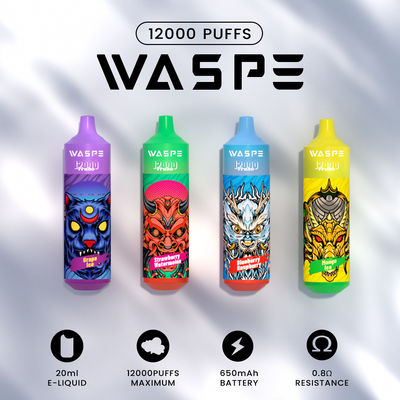 Waspe 12000Puffs 20 ML E-Liquid Vape Pen desechable con carga de tipo C Luz RGB colorida