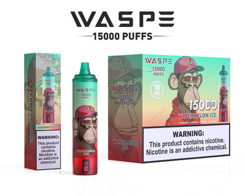 15000 puffs Big Puff Vape con 12 sabores frutales Batería de 650 mAh y capacidad de jugo de 22 ml