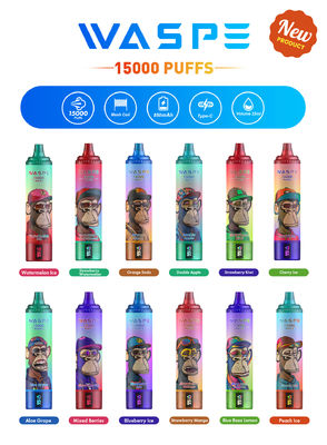 Vape personalizado de 22 ml SUS304 con 12 sabores frutales de 15000 puffs de capacidad de tipo C