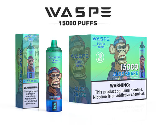 Vape personalizado de 22 ml SUS304 con 12 sabores frutales de 15000 puffs de capacidad de tipo C