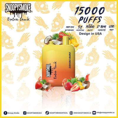 Kit de vapeo de sabor a fruta de 650 mAh con bobina de resistencia de 1,2 ohm