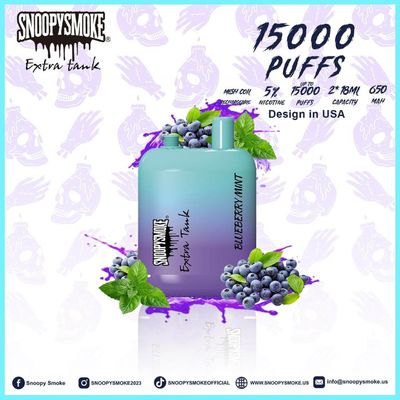 Batería recargable de doble depósito tipo C con 15000 puffs sabor a fruta bobina de malla de 1,2 ohm