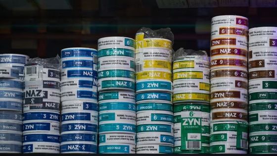 Bolsas de Zyn sin tabaco para la boca sin escupir 10 sabores en diferentes puntos fuertes